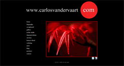 Desktop Screenshot of carlosvandervaart.com