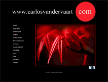 Tablet Screenshot of carlosvandervaart.com